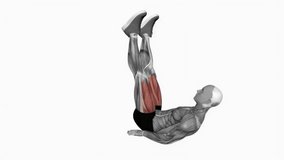 Alternate leg raise with head up fitness exercise workout animation male muscle highlight demonstration at 4K resolution 60 fps crisp quality for websites, apps, blogs, social media etc.