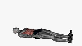 middle crunches fitness exercise workout animation male muscle highlight demonstration at 4K resolution 60 fps crisp quality for websites, apps, blogs, social media etc.
