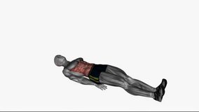 lying leg raise fitness exercise workout animation male muscle highlight demonstration at 4K resolution 60 fps crisp quality for websites, apps, blogs, social media etc.