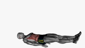 lying leg lift abdominals fitness exercise workout animation male muscle highlight demonstration at 4K resolution 60 fps crisp quality for websites, apps, blogs, social media etc.