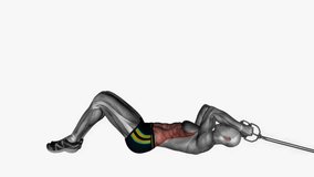 lying abs resistance band fitness exercise workout animation male muscle highlight demonstration at 4K resolution 60 fps crisp quality for websites, apps, blogs, social media etc.