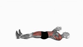 Kettlebell situp press fitness exercise workout animation male muscle highlight demonstration at 4K resolution 60 fps crisp quality for websites, apps, blogs, social media etc.