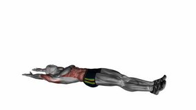 hollow hold fitness exercise workout animation male muscle highlight demonstration at 4K resolution 60 fps crisp quality for websites, apps, blogs, social media etc.