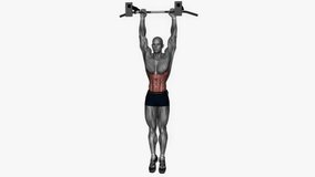 hanging oblique crunches fitness exercise workout animation male muscle highlight demonstration at 4K resolution 60 fps crisp quality for websites, apps, blogs, social media etc.