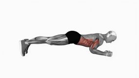 Elbow-Up and Down Dynamic Plank fitness exercise workout animation male muscle highlight demonstration at 4K resolution 60 fps crisp quality for websites, apps, blogs, social media etc.