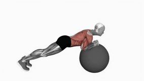 Exercise Ball Body Saw fitness exercise workout animation male muscle highlight demonstration at 4K resolution 60 fps crisp quality for websites, apps, blogs, social media etc.
