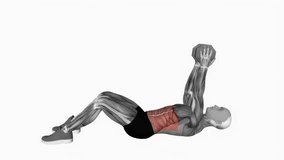 Dumbbell Straight Arm Crunch fitness exercise workout animation male muscle highlight demonstration at 4K resolution 60 fps crisp quality for websites, apps, blogs, social media etc.