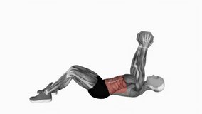 Dumbbell Straight Arm Twisting Sit-up fitness exercise workout animation male muscle highlight demonstration at 4K resolution 60 fps crisp quality for websites, apps, blogs, social media etc.