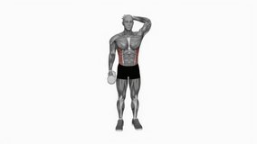 Dumbbell Side Bend fitness exercise workout animation male muscle highlight demonstration at 4K resolution 60 fps crisp quality for websites, apps, blogs, social media etc.