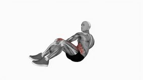 Dumbbell Russian Twist with Legs Floor Off fitness exercise workout animation male muscle highlight demonstration at 4K resolution 60 fps crisp quality for websites, apps, blogs, social media etc.