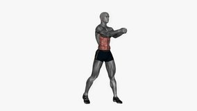 diagonal chop right fitness exercise workout animation male muscle highlight demonstration at 4K resolution 60 fps crisp quality for websites, apps, blogs, social media etc.