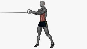 diagonal chop cable fitness exercise workout animation male muscle highlight demonstration at 4K resolution 60 fps crisp quality for websites, apps, blogs, social media etc.