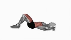 Crunch leg raise fitness exercise workout animation male muscle highlight demonstration at 4K resolution 60 fps crisp quality for websites, apps, blogs, social media etc.