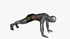 brazillian crunches fitness exercise workout animation male muscle highlight demonstration at 4K resolution 60 fps crisp quality for websites, apps, blogs, social media etc.