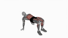 Crab Twist Toe Touch fitness exercise workout animation male muscle highlight demonstration at 4K resolution 60 fps crisp quality for websites, apps, blogs, social media etc.