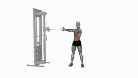 Cable Twist fitness exercise workout animation male muscle highlight demonstration at 4K resolution 60 fps crisp quality for websites, apps, blogs, social media etc.