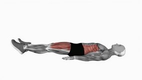 Bottoms-Up half rep fitness exercise workout animation male muscle highlight demonstration at 4K resolution 60 fps crisp quality for websites, apps, blogs, social media etc.