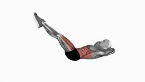 bicycle twisting crunch fitness exercise workout animation male muscle highlight demonstration at 4K resolution 60 fps crisp quality for websites, apps, blogs, social media etc.