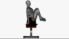 bench knee tucks fitness exercise workout animation male muscle highlight demonstration at 4K resolution 60 fps crisp quality for websites, apps, blogs, social media etc.