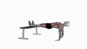Bench Dip Hold fitness exercise workout animation male muscle highlight demonstration at 4K resolution 60 fps crisp quality for websites, apps, blogs, social media etc.