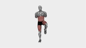 Arm rotation knee lift fitness exercise workout animation male muscle highlight demonstration at 4K resolution 60 fps crisp quality for websites, apps, blogs, social media etc.