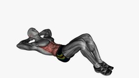 alternating oblique sit ups fitness exercise workout animation male muscle highlight demonstration at 4K resolution 60 fps crisp quality for websites, apps, blogs, social media etc.