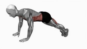 alternate single leg raises plank fitness exercise workout animation male muscle highlight demonstration at 4K resolution 60 fps crisp quality for websites, apps, blogs, social media etc.