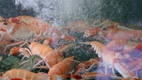 Lobsters, crabs and shrimps in a large transparent aquarium in restaurant kitchen. Live seafood in the aquarium. Product in the supermarket. Close up of lobsters, shrimps, crabs in water tank for sale - Powered by Shutterstock - Get 15% off with code: PIKWIZARD15