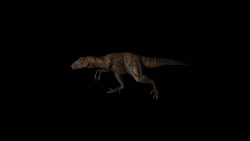 Dinosaur Running Transparent Alpha Video Animation | Shutterstock HD Video #1098728061
