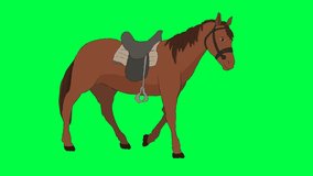 (Green screen animation) 2D cycle of a horse walking.
Chroma key.
