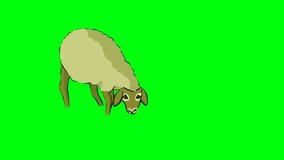 (Green screen animation) 2D sheep character walking while grazing and eating plants.
Chroma key.