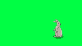 (Green screen animation) The 2D character of a rabbit who is watching then turns and runs and exits from the left side.
Chroma key.