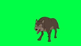 (Green screen animation) 2D character cycle of a wild wolf who is angry.
Chroma key.