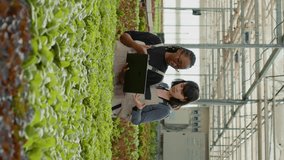 Two diverse women using laptop with agricultural management software to plan harvesting and delivery for organic lettuce. Farm workers in greenhouse holding portable computer checking online orders.