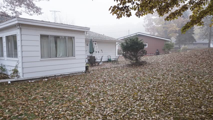 A backyard coated in a layer of fallen leaves. Foggy Autumn weather creeps in.