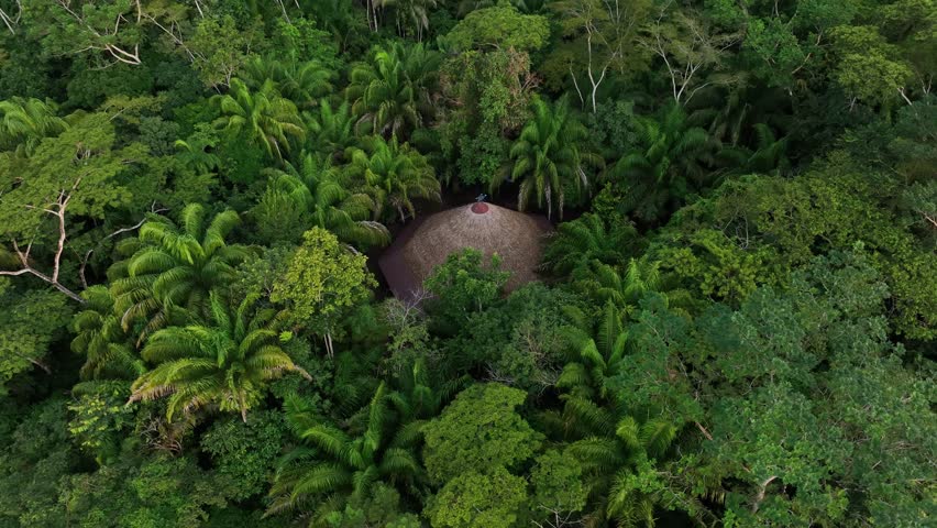 Aerial drone fly view of Jungle hut in the Amazonia, surrounded by trees, rivers, tropical climate, wild animals, rain in the forest. Cabin in the nature made with bamboo and wood. High resolution 4k Royalty-Free Stock Footage #1098755921