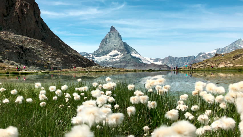 Panoramic view of Matterhorn reflected in Riffelsee lake surrounded by cotton flowers Royalty-Free Stock Footage #1098763705