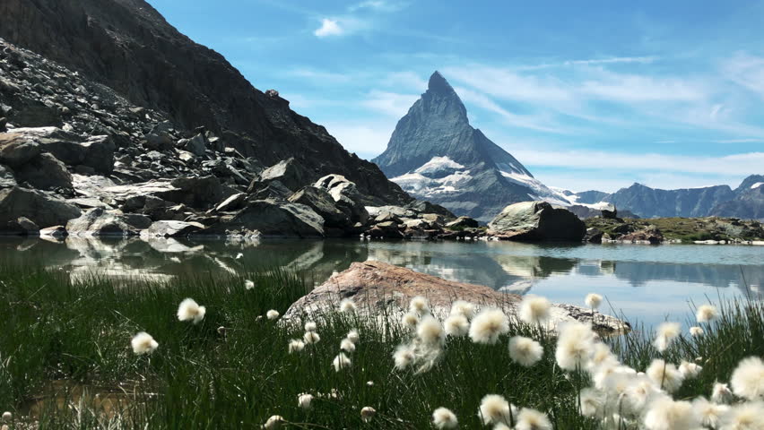 Panoramic view of Matterhorn reflected in Riffelsee lake surrounded by cotton flowers Royalty-Free Stock Footage #1098763723
