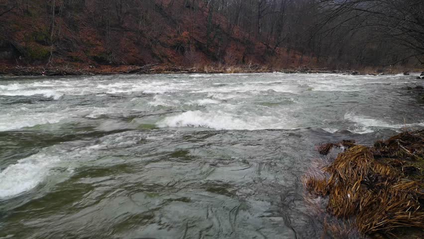 Full-flowing mountain river roaring on the rapids