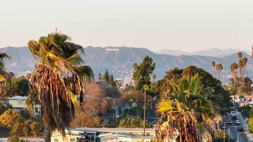 Aerial view of Hollywood sign and Hollywood Hills in California USA on a sunny day with palm trees.
