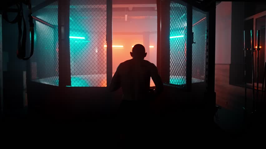 MMA fighters enter the cage ring. Mixed martial arts fight. Cinematic staged fight. Boxing in a ring or cage. Two fighters fight for the right to be the champion.