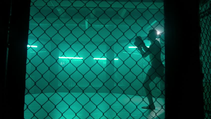 Shutterstock Video