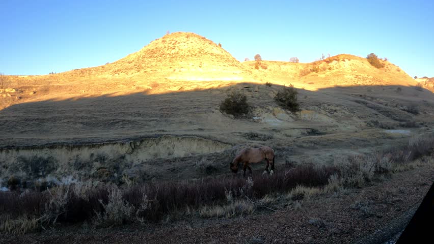 Theodore Roosevelt National Park on a sunny day in North Dakota.