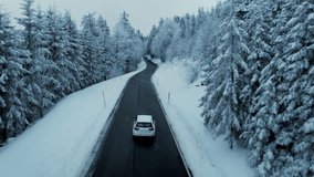Epic view of car drive on empty road in snowy forest wonderland. Winter season scenery on cloudy cold day. Beautiful magical freezing nature.  - Powered by Shutterstock - Get 15% off with code: PIKWIZARD15