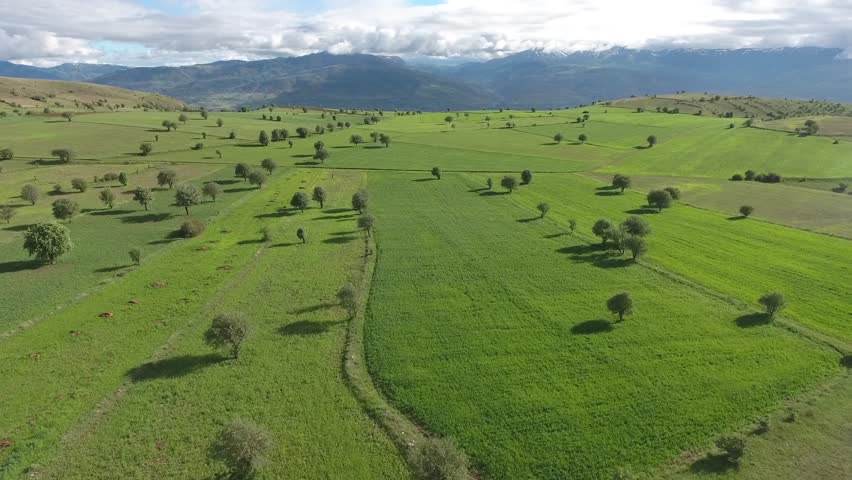 Aerial view of flat farmland on high plateau above mountains.
