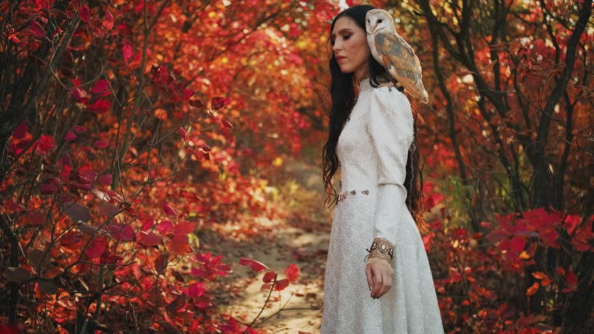 Fantasy woman queen with barn owl bird that sits on shoulder, walks in autumn forest. Mysterious girl touches, strokes branches trees red leaves fall. White vintage dress black long hair. back view 4k