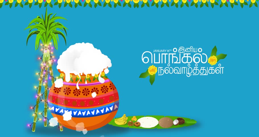 Happy Pongal Festival Greetings Video. Pongal pot and Sugarcane decorated with serial light bulb. Translate : Happy Pongal , Tamil Text.