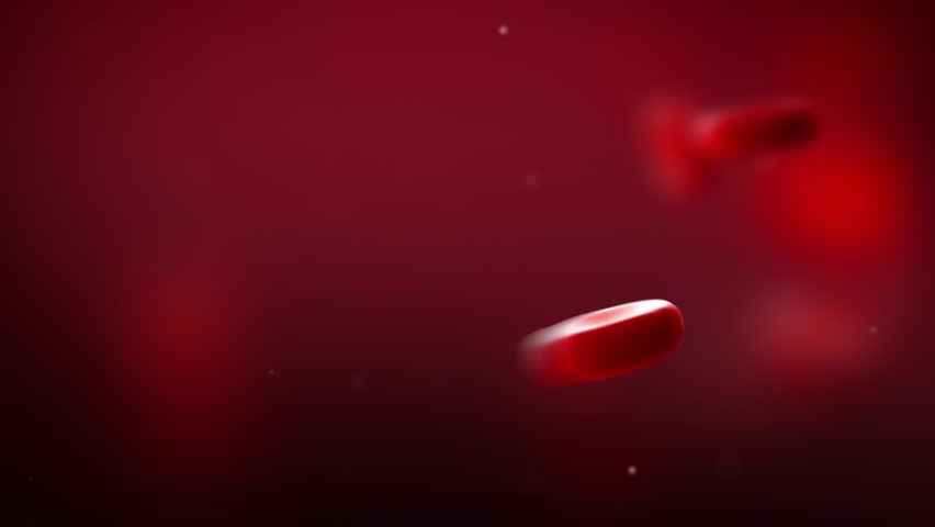 Red blood cells flowing in veins. macro close view