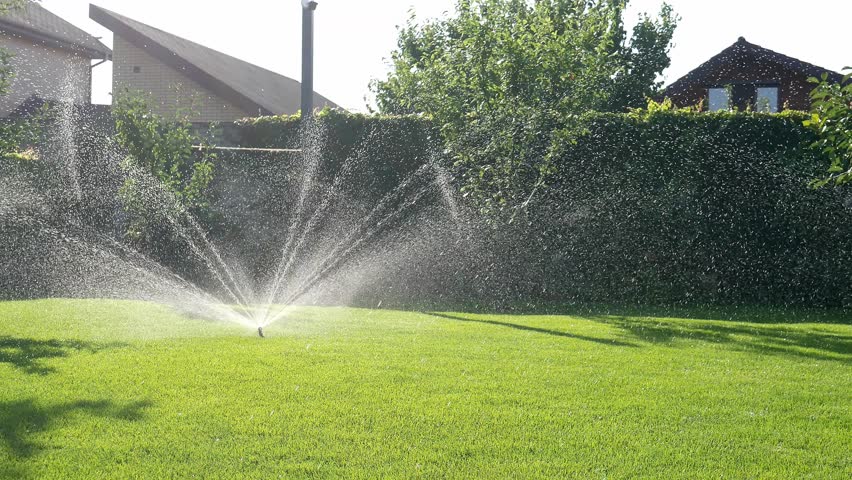 Automatic lawn sprinkler in action watering green grass in summer on the lawn Royalty-Free Stock Footage #1098825411