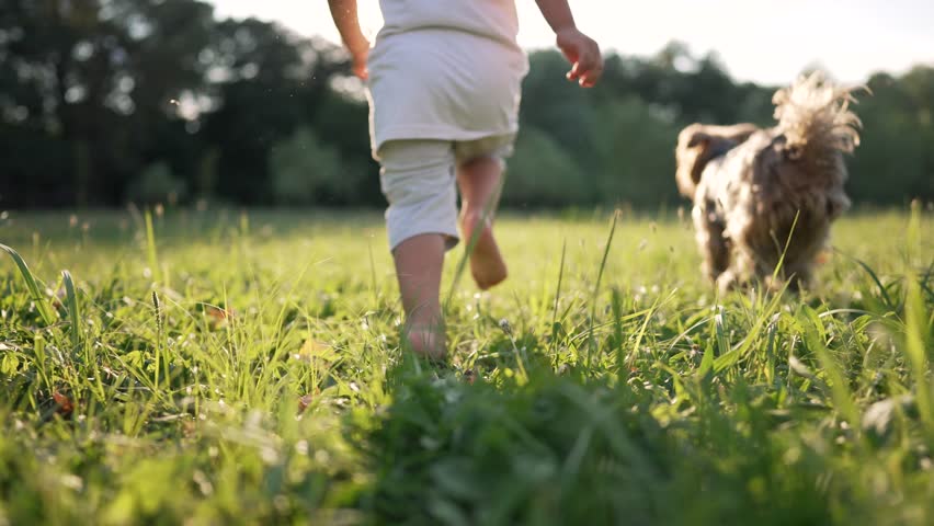 Happy kid runs barefoot on green young grass with pet. Happy family day. Healthy active lifestyle of child in park. | Shutterstock HD Video #1098826235